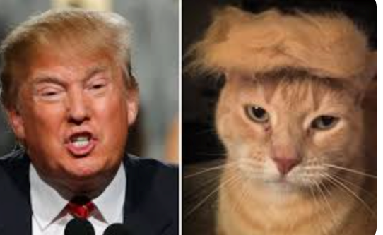 Democracy illustration