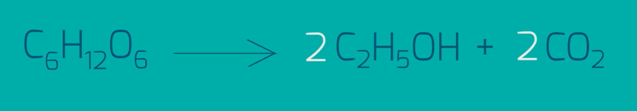 equation alcohol 1