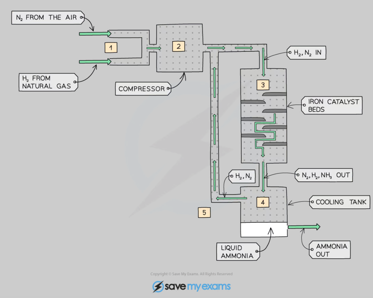 Haber Process Diagram