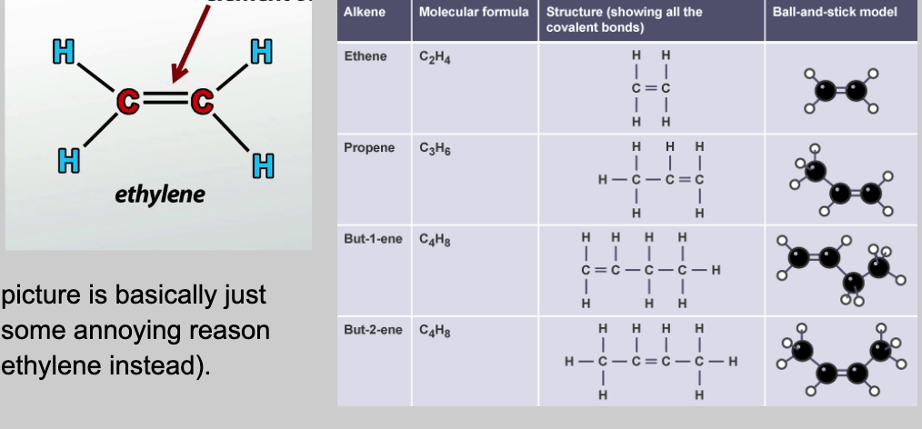 Alkene double bond