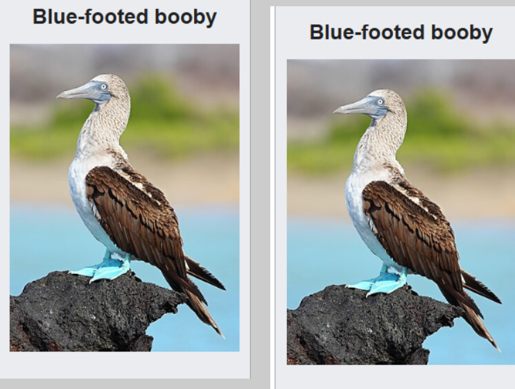 small joke illustration