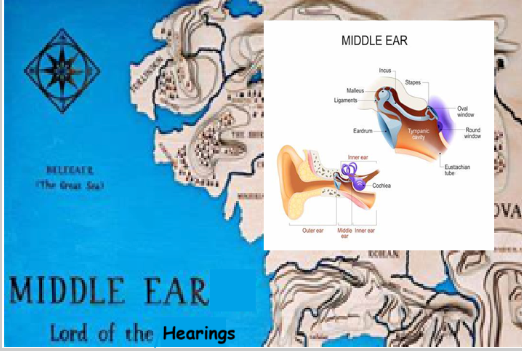 Ear middle diagram