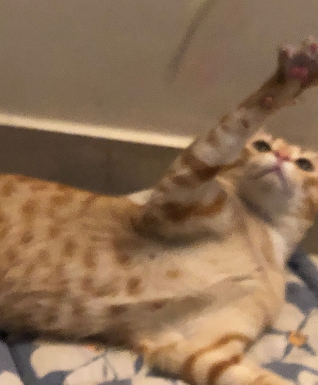 Story picture prompt